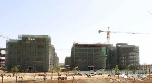 太湖經開區2019年第一批招商引資項目集中開工，總投資20.38億元助力產業升級