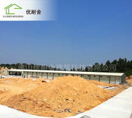 標準化家禽養殖場的規劃設計與施工 以預制房屋與鋼結構在養雞場建設中的應用